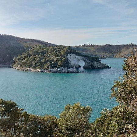 B&B Casa Desimio Βιέστε Εξωτερικό φωτογραφία