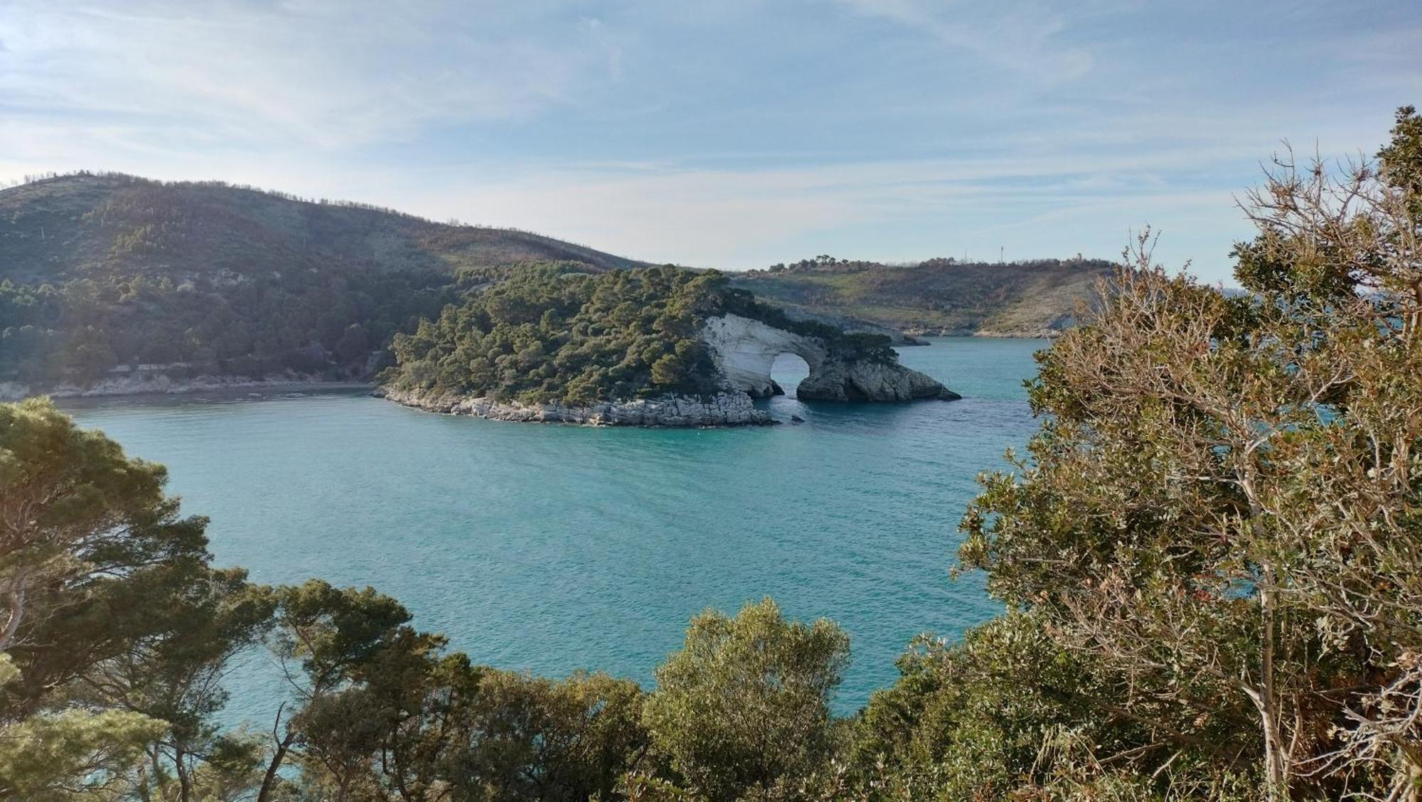 B&B Casa Desimio Βιέστε Εξωτερικό φωτογραφία